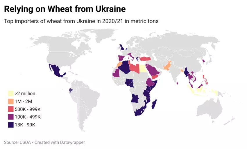 Importers, 2020-2021